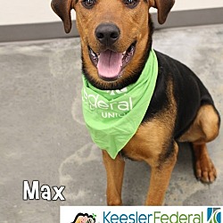 Thumbnail photo of Max #1