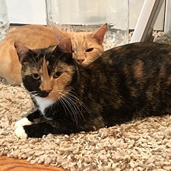 Photo of Mimi