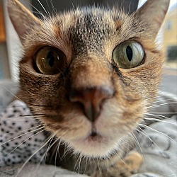 Thumbnail photo of Kiki #3