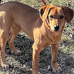 Photo of Abigail 23 lbs of fun!!!