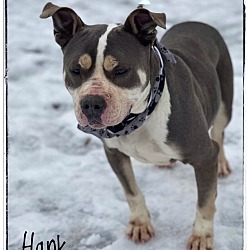 Thumbnail photo of Hank #4