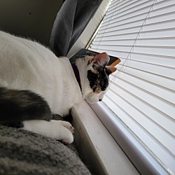 Photo of Pip