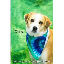 Photo of Ottis