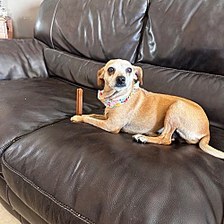 Photo of Betty