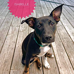 Photo of Isabelle