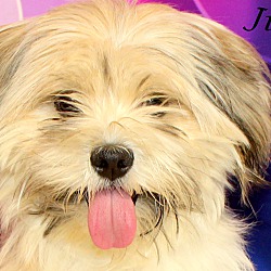 Thumbnail photo of Jimothy~adopted! #1