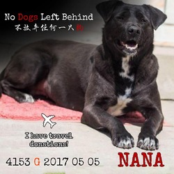 Thumbnail photo of Nana 4153 #4