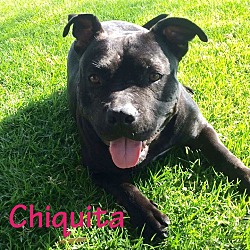Thumbnail photo of Chiquita #3