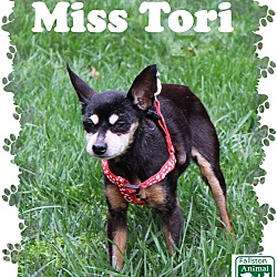 Thumbnail photo of Miss Tori #2
