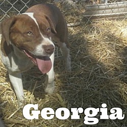 Thumbnail photo of Georgia #4