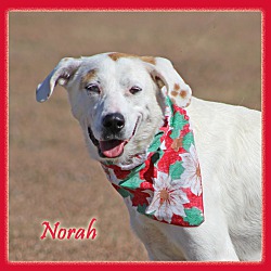 Photo of Norah