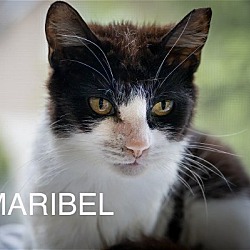 Photo of Maribel (FCID# 05/08/2024 - 22 Trainer)