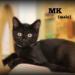 Thumbnail photo of MK #4