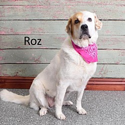 Photo of Roz
