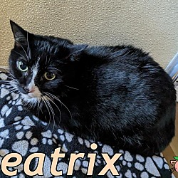 Photo of Beatrix