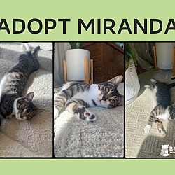 Thumbnail photo of Miranda #2