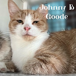 Photo of Johnny B Goode