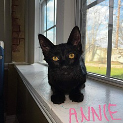 Thumbnail photo of Annie #2