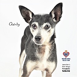 Photo of Quirky