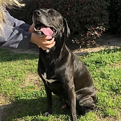 Photo of Bentley