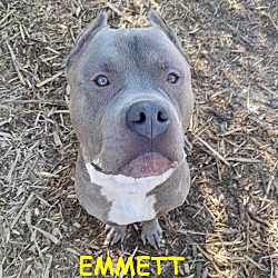 Photo of EMMETT