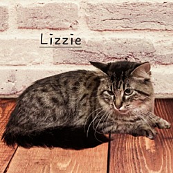 Photo of Lizzie #real-beauty