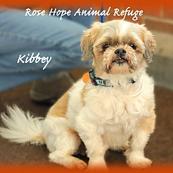 Thumbnail photo of Kibbey #1