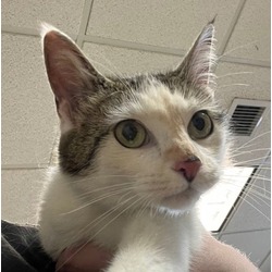 Photo of Motormouth Maybelle (East Campus)(Waived Fee)