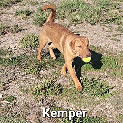Photo of Kemper