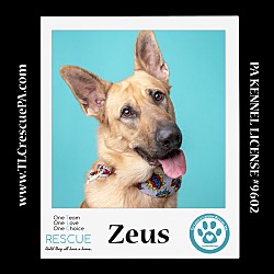 Photo of Zeus 040624