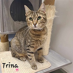 Photo of Trina