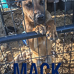 Photo of Mack