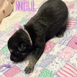 Photo of Nell
