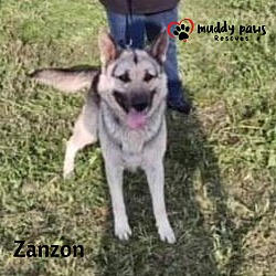 Photo of Zanzon (Courtesy Post)