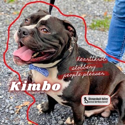 Thumbnail photo of Kimbo #1