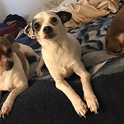 Photo of JAKE, ROSIE, COCO