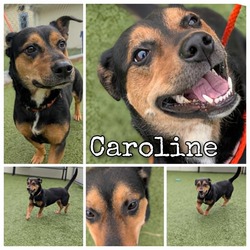 Thumbnail photo of Caroline #1