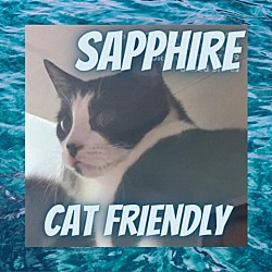 Photo of Sapphire