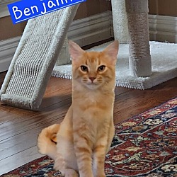 Thumbnail photo of Benjamin #4