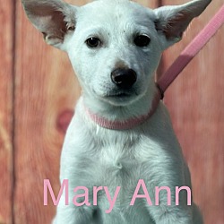 Thumbnail photo of Mary Ann #1