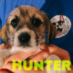 Thumbnail photo of Hunter #1