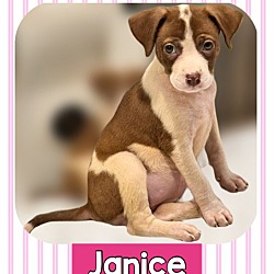 Photo of JANICE