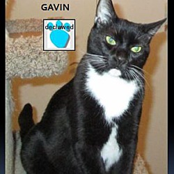 Photo of Gavin