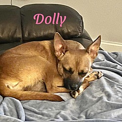 Thumbnail photo of DOLLY #3