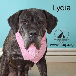 Thumbnail photo of Lydia #4