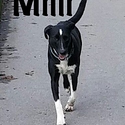 Thumbnail photo of Milli #2