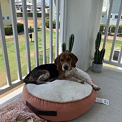 Photo of Kinni