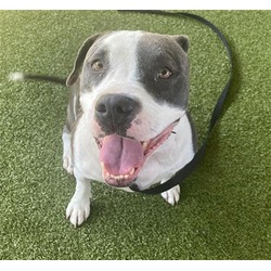 Photo of BONNIE