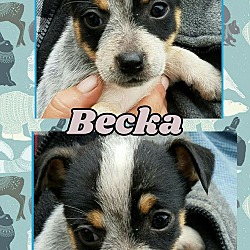 Thumbnail photo of Becka #2