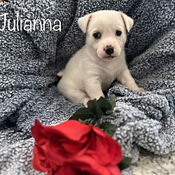 Photo of Julianna